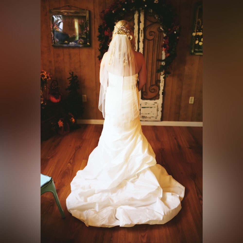 Wedding Dress and Veil